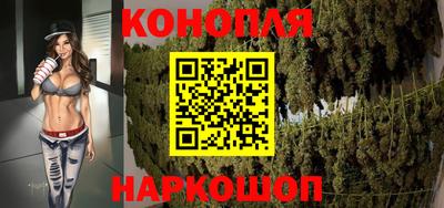 гашик Шебекино