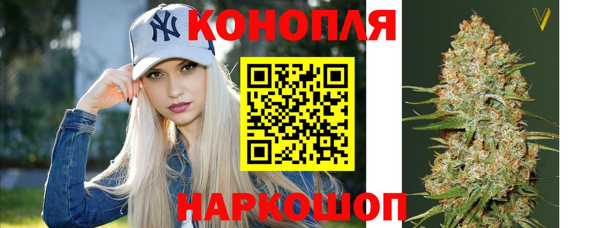 Каннабис ГИДРОПОН Александров